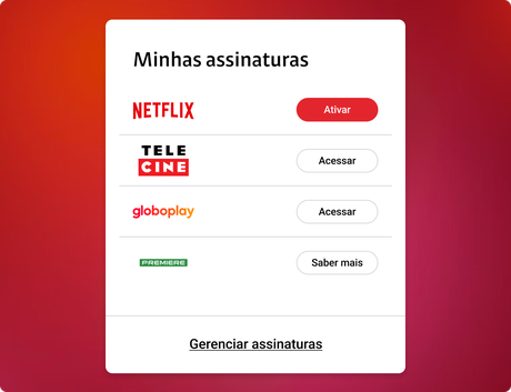 The My subscriptions panel listing Netflix, Telecine, Globoplay and Premiere, with Netflix still waiting to be activated